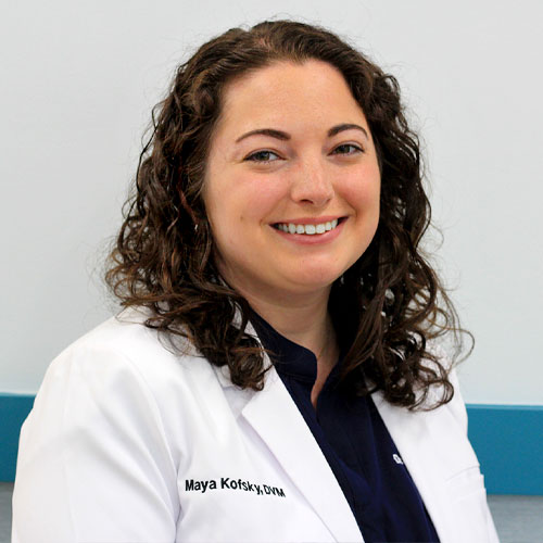 vet in chalfont